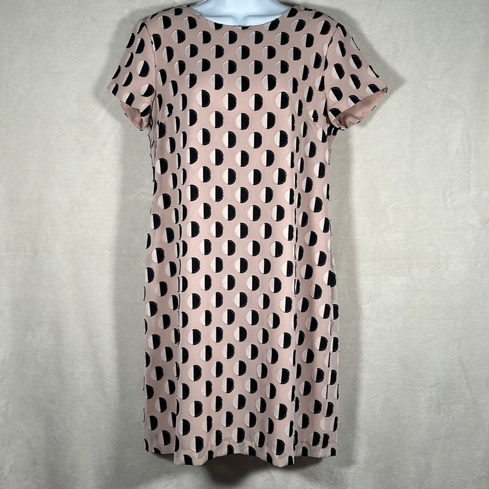 Vine Camuto short sleeve dress. Size 4